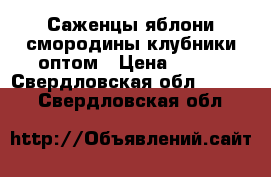 Саженцы яблони,смородины,клубники оптом › Цена ­ 130 - Свердловская обл.  »    . Свердловская обл.